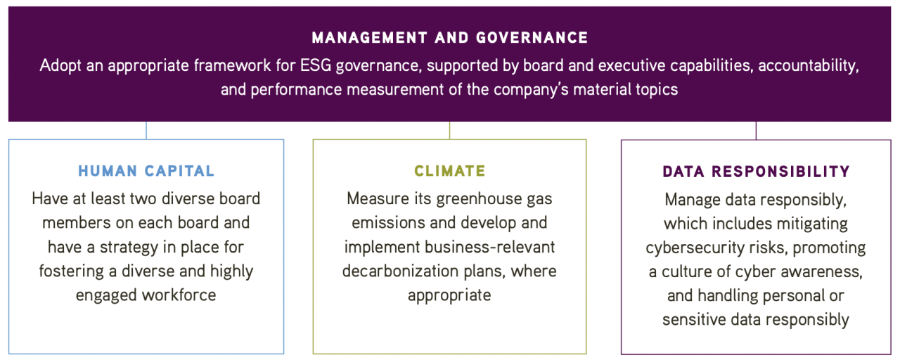 Management chart 