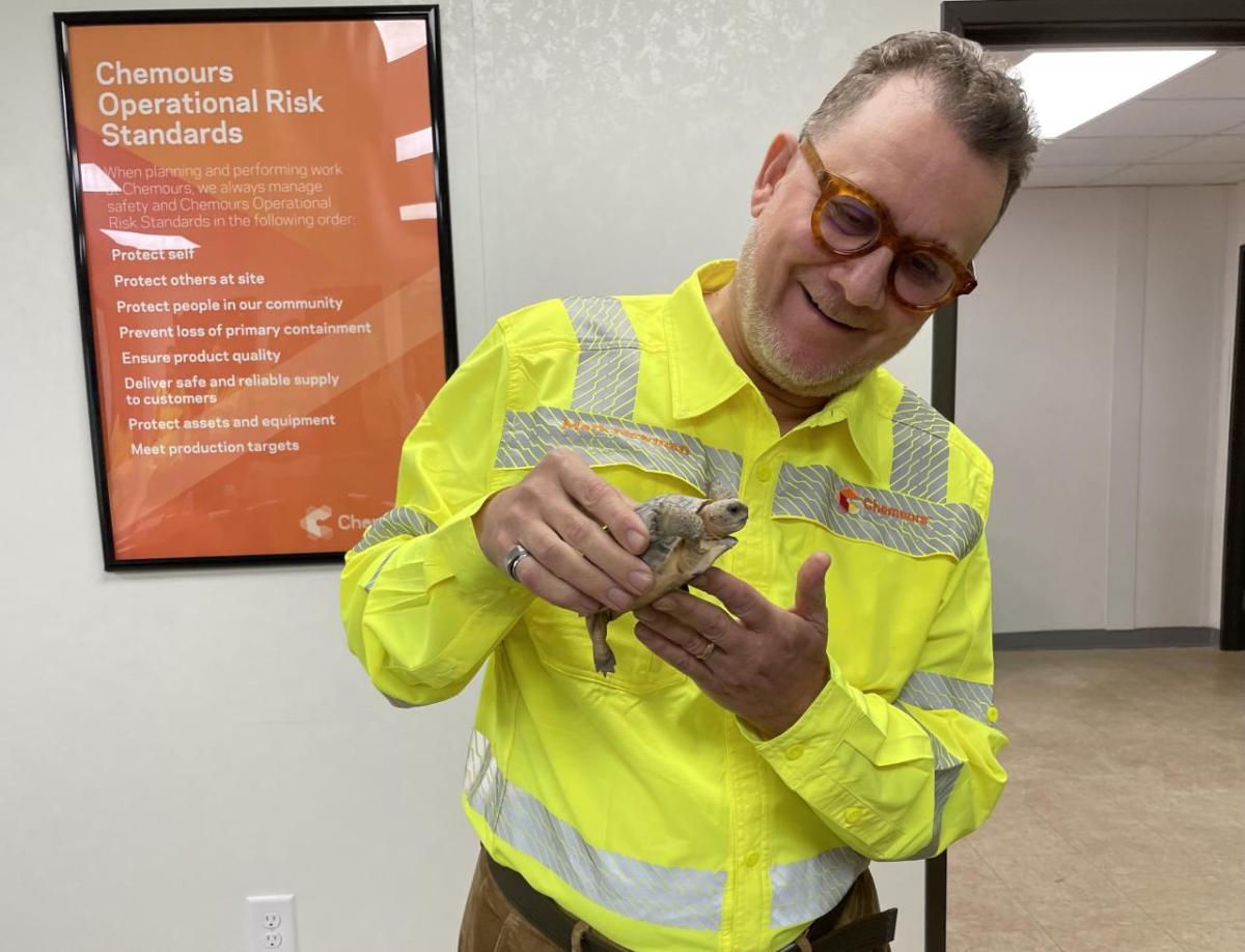 Holding a Gopher Tortoise