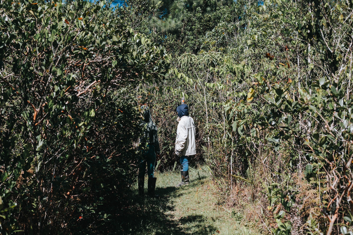 People walking through the Mason River Protected Area in waterproof boots and jackets. 