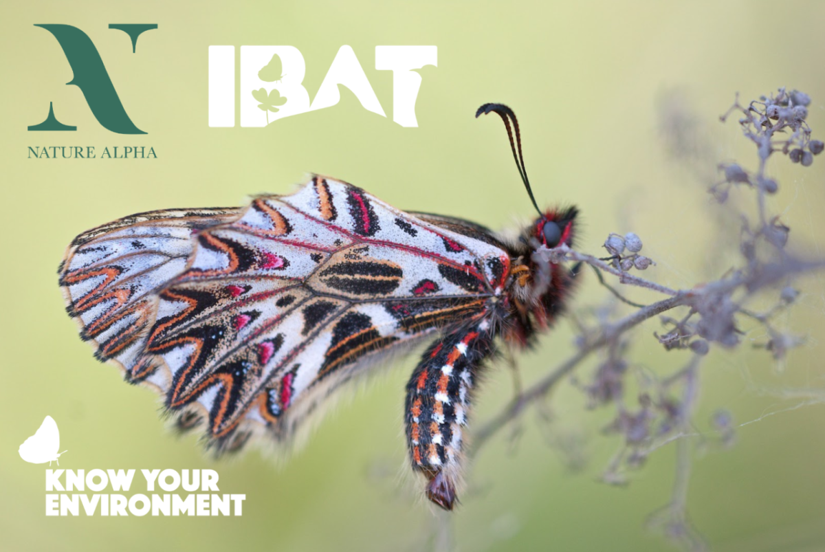 NatureAlpha and IBAT Collaborate