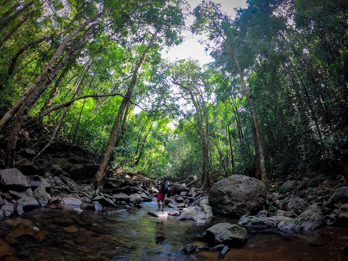 Young man wading through a river under a canopy of trees.