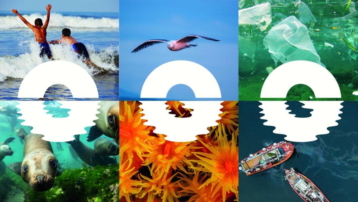Ocean Generation logo over six different photots of kiids in the ocean, a bird, plastic in water, a seal, anemones, boats by an oil slick on the water.