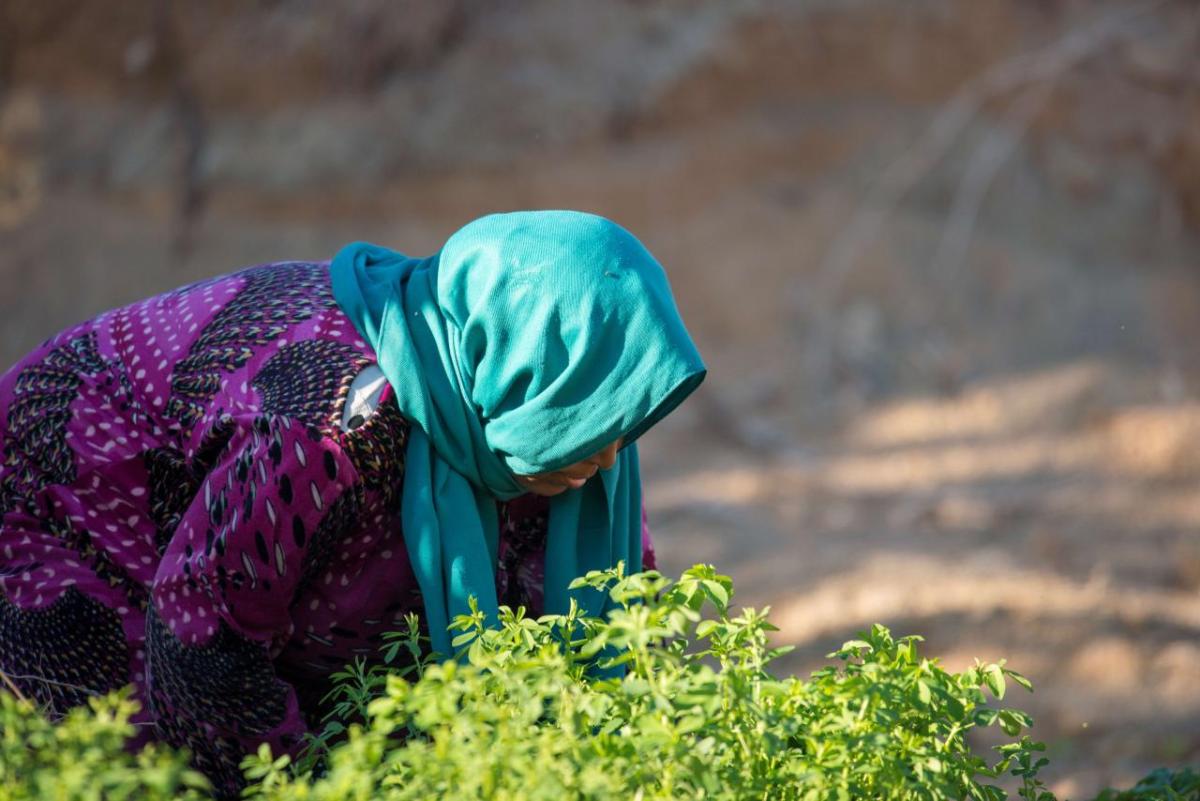 Person leaning down and looking at a plant