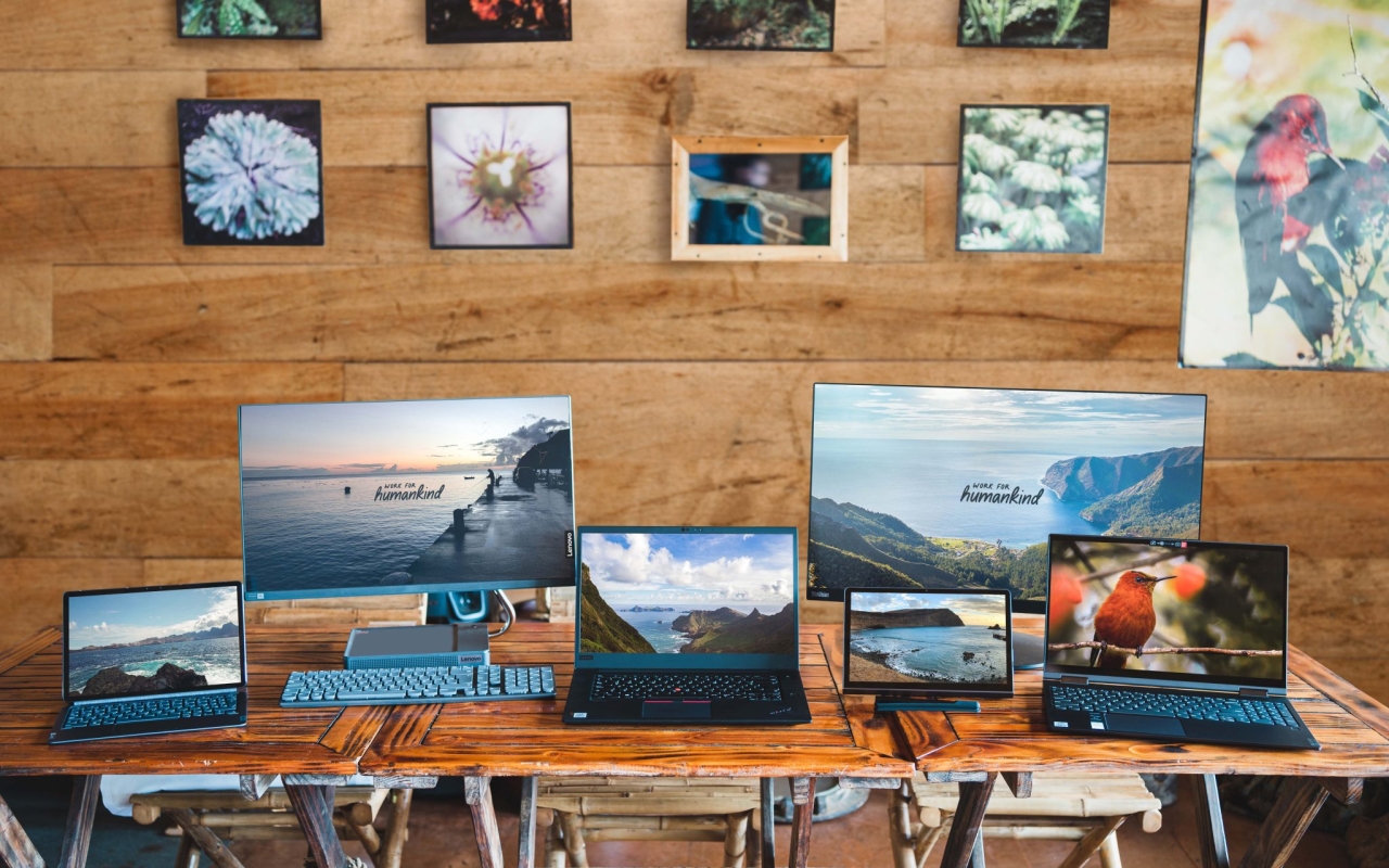 Several monitors and laptops in front of a wood-paneled wall featuring photos of island wildlife