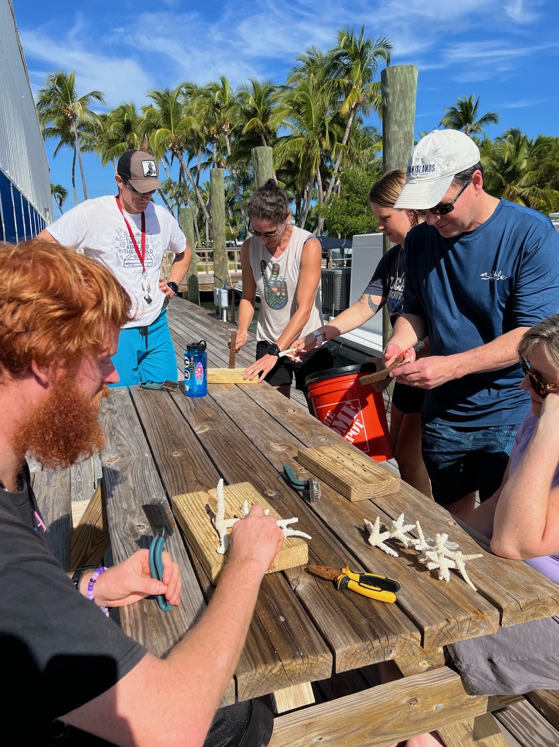 People gather around a table to work with coral fragments - restoration of coral reefs