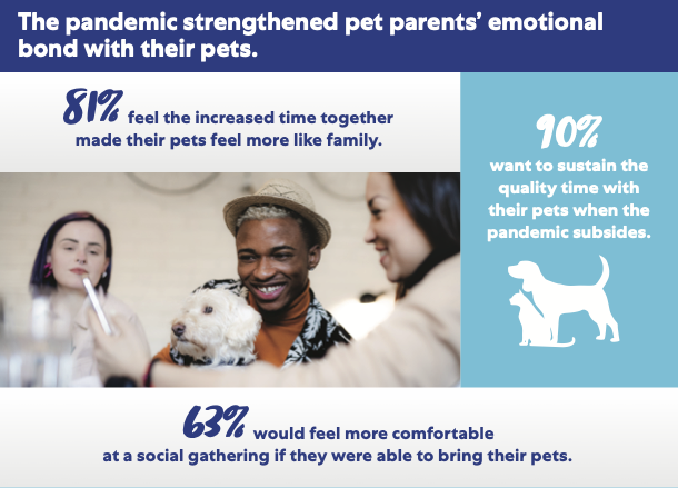pet parents attitudes changed in the pandemic