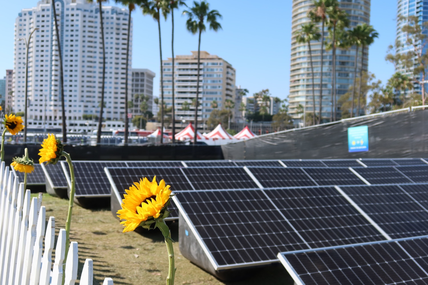 solar garden at a music festival — sustainability at music festivals 