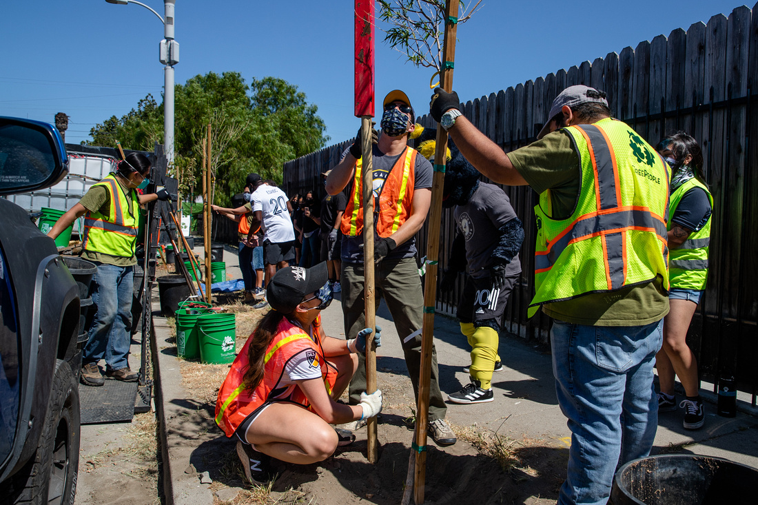 AEG and LA Galaxy staff team up with TreePeople to plant trees in a Watts neighborhood in Los Angeles in celebration of Earth Month