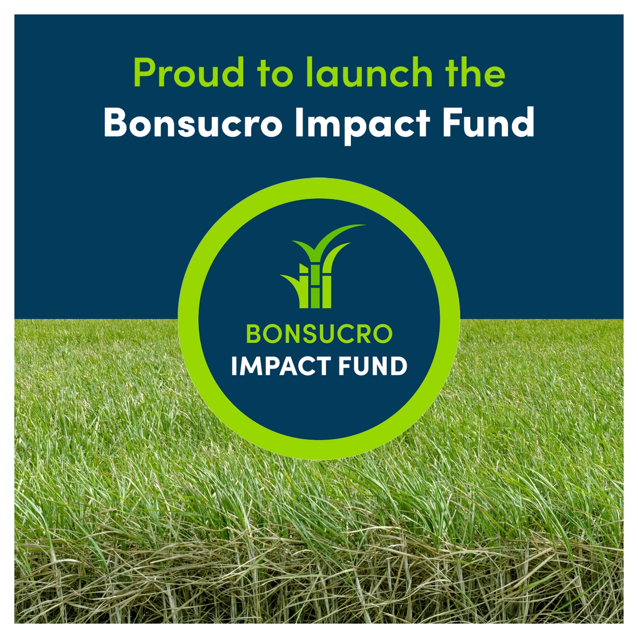Proud to launch the Bonsucro Impact Fund