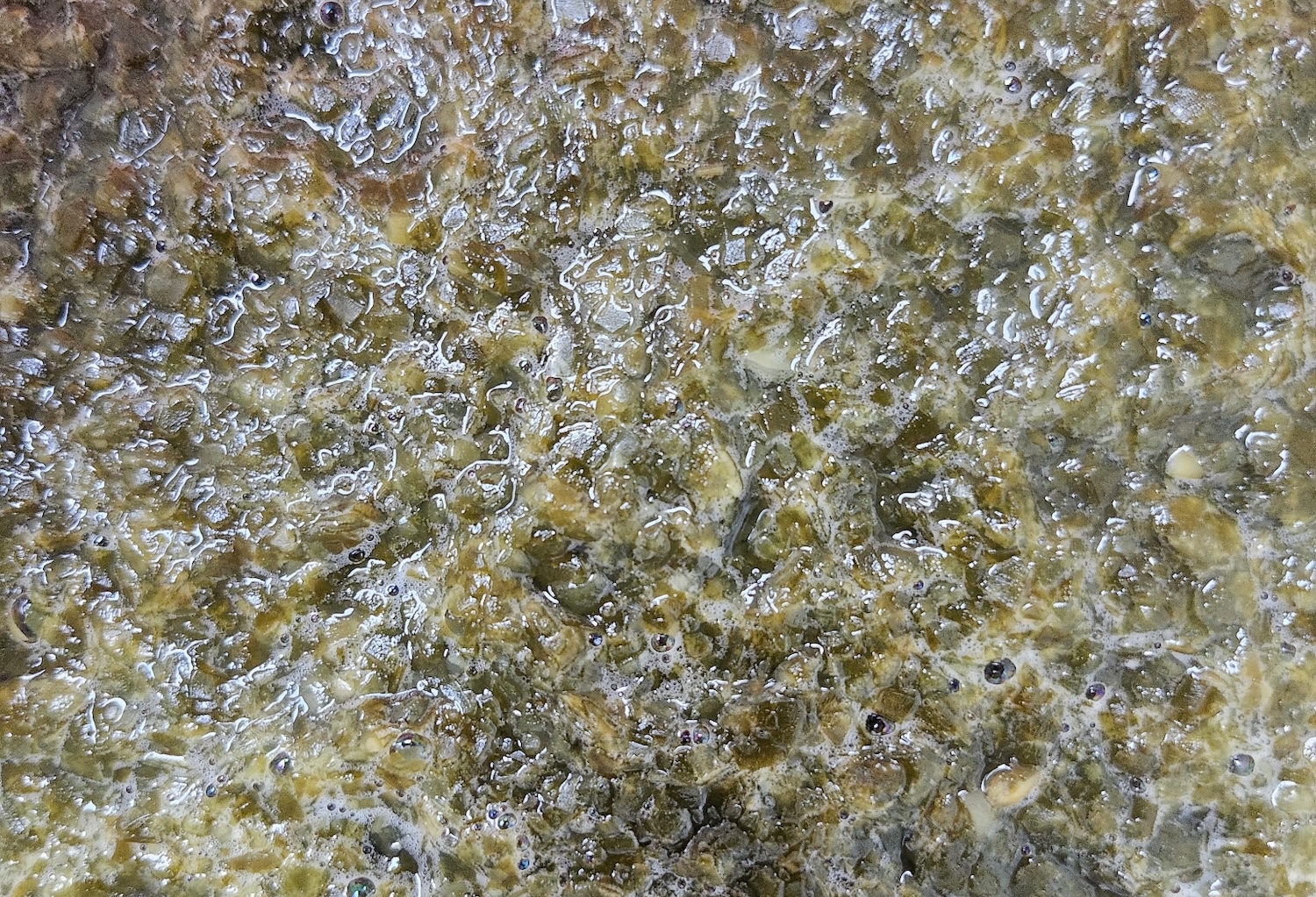Pumpable Fermented Crude made from seaweed