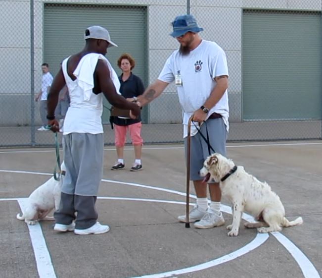 Puppies for Parole - incarcerated people train shelter dogs in missouri