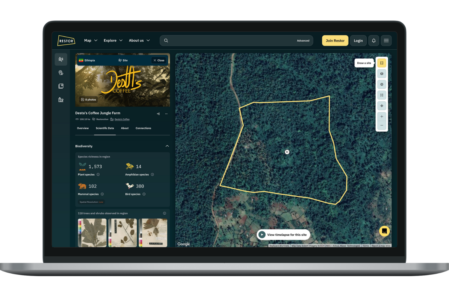 A highlighted restoration site on the Restore platform's interactive map: Desta's Coffee Jungle Farm in Ethiopia.
