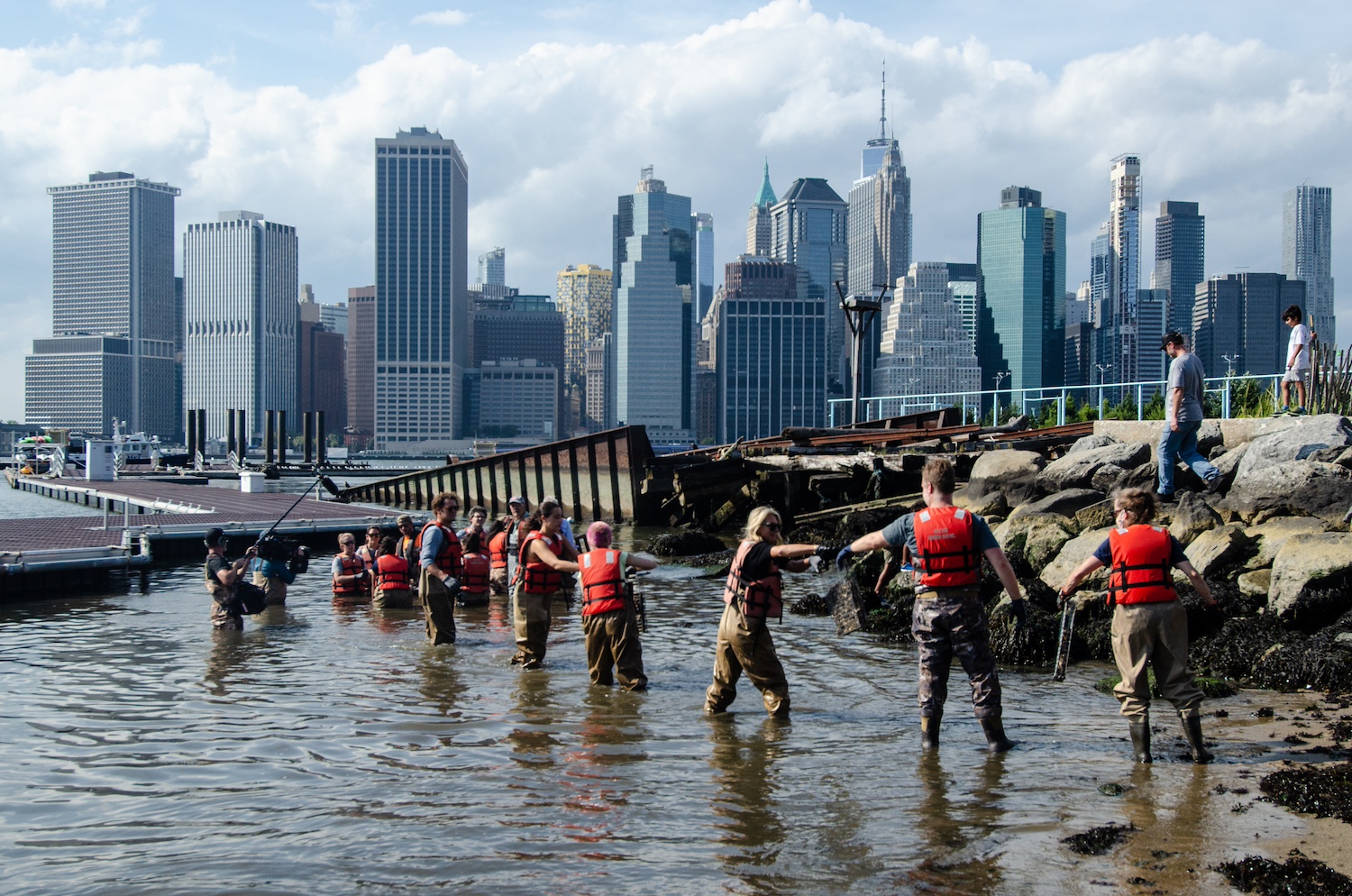 The Billion Oyster Project volunteers moving cages of oysters in the New York Harbor — The Good Project