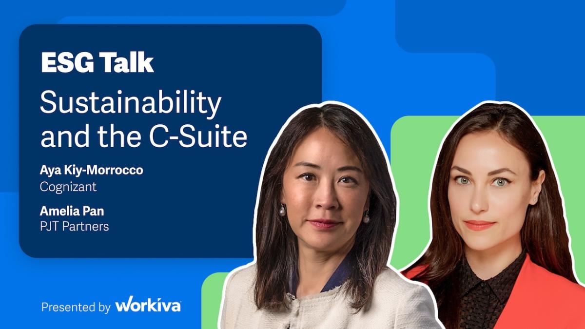 ESG Talk: Sustainability and the C-Suite with Ayn Kiy-Morrocco and Amelia Pan.