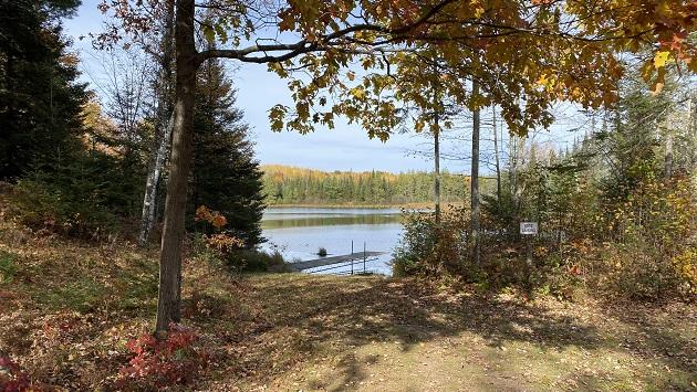 A small boat landing in a forested area.