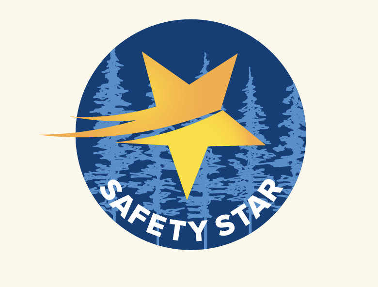 Safety Star recognition program logo