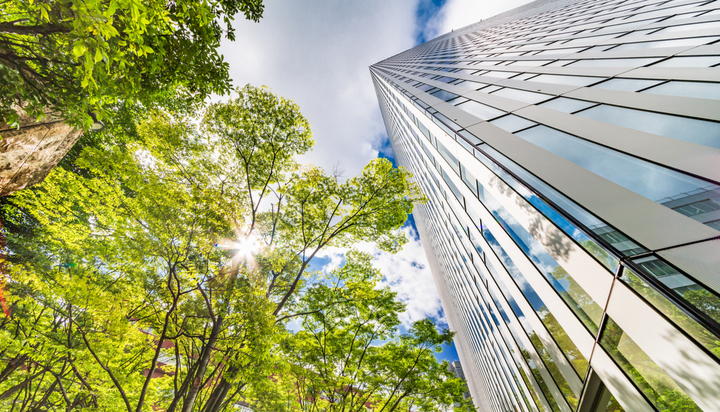 highrise buildings in the sun