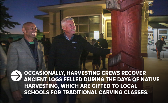 Occasionally, harvesting crews recover ancient logs felled during the days of native harvesting, which are gifted to local schools for traditional carving classes."
