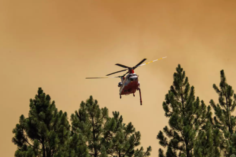 Helicopter flying over trees