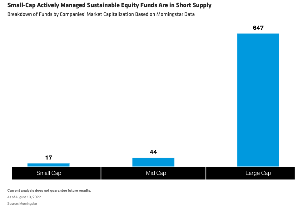 Small-Cap Actively Managed Sustainable Equity Funds Are in Short Supply