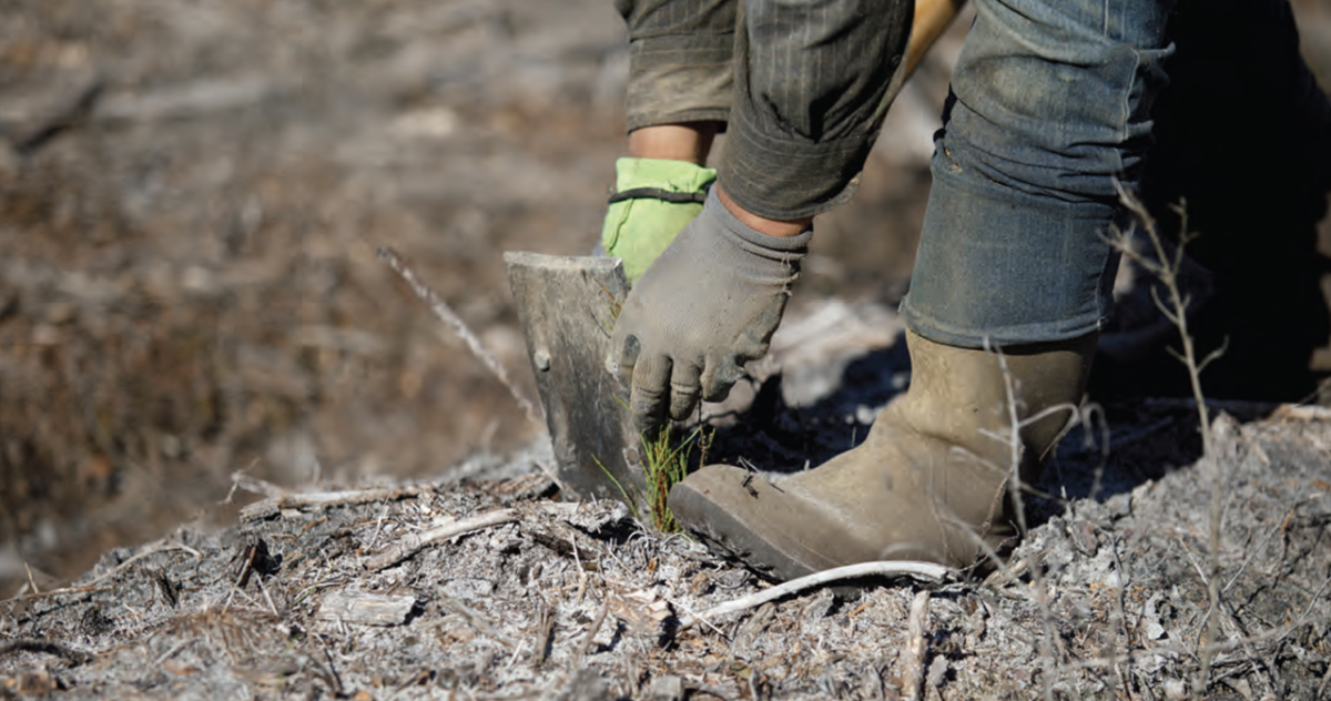 close up of the soil on the ground