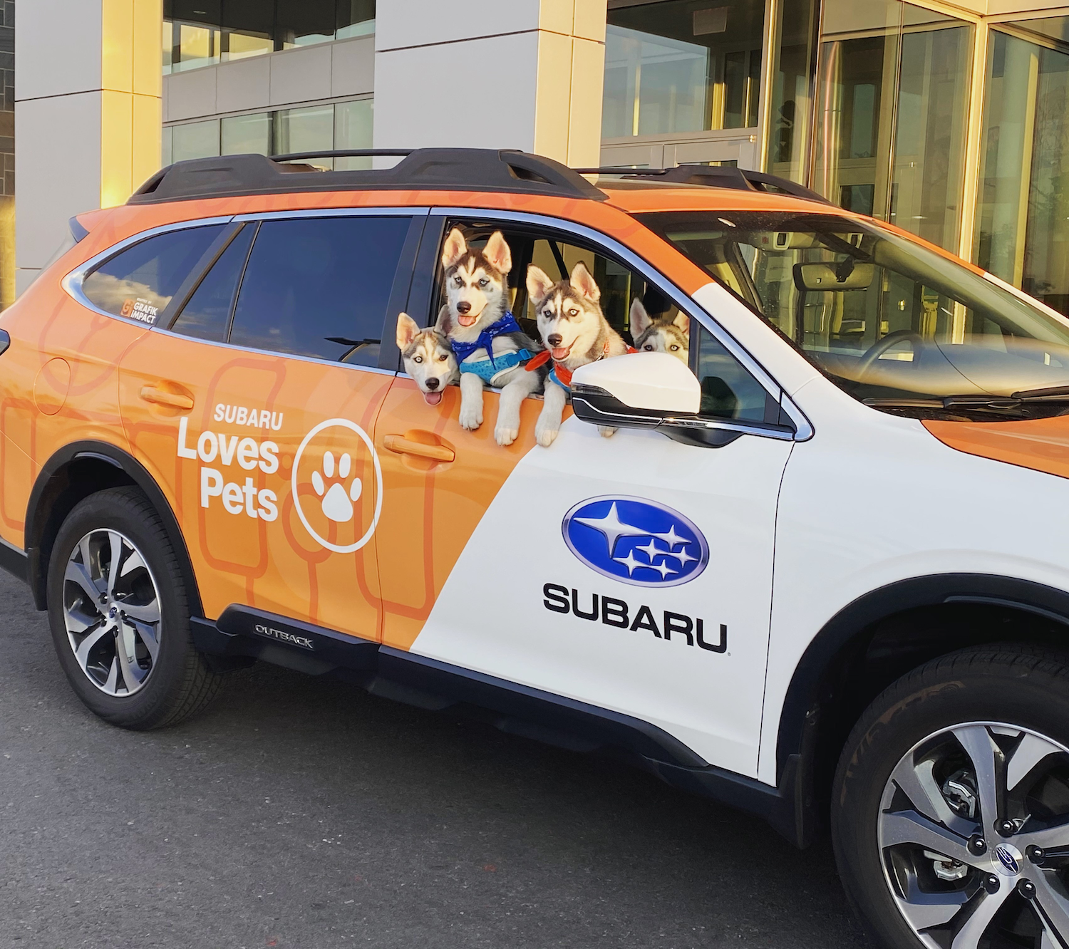 Subaru of Las Vegas supports nonprofit that provides therapy dogs