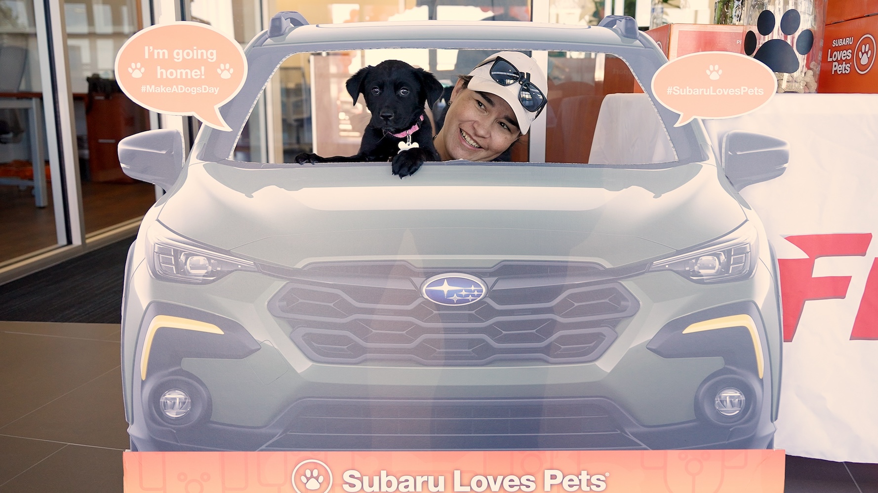 Subaru pet adoption event