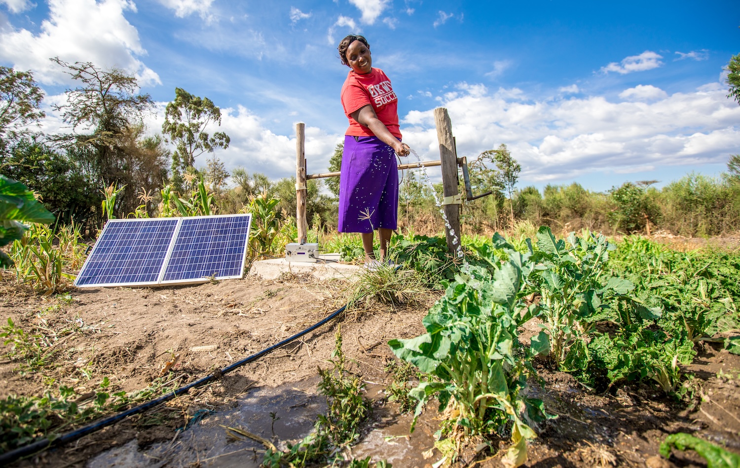 SunCulture — off-grid solar in rural africa