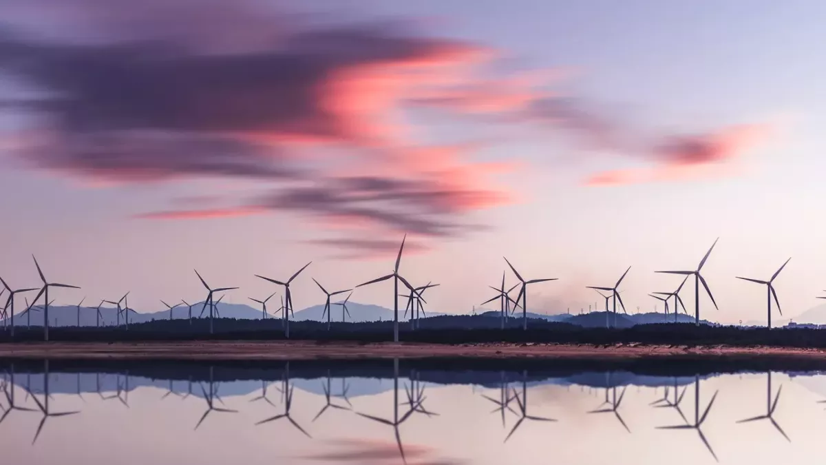 A large group of wind turbines, the sun setting to the right, an area of open water in front and partly cloudy sky reflecting pinks and purples from the sun.