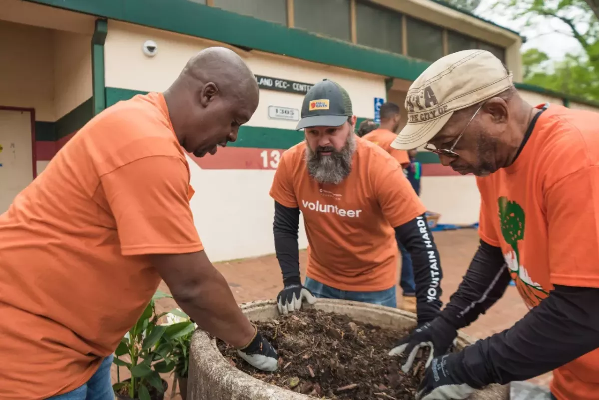 A group of volunteers planting flowers