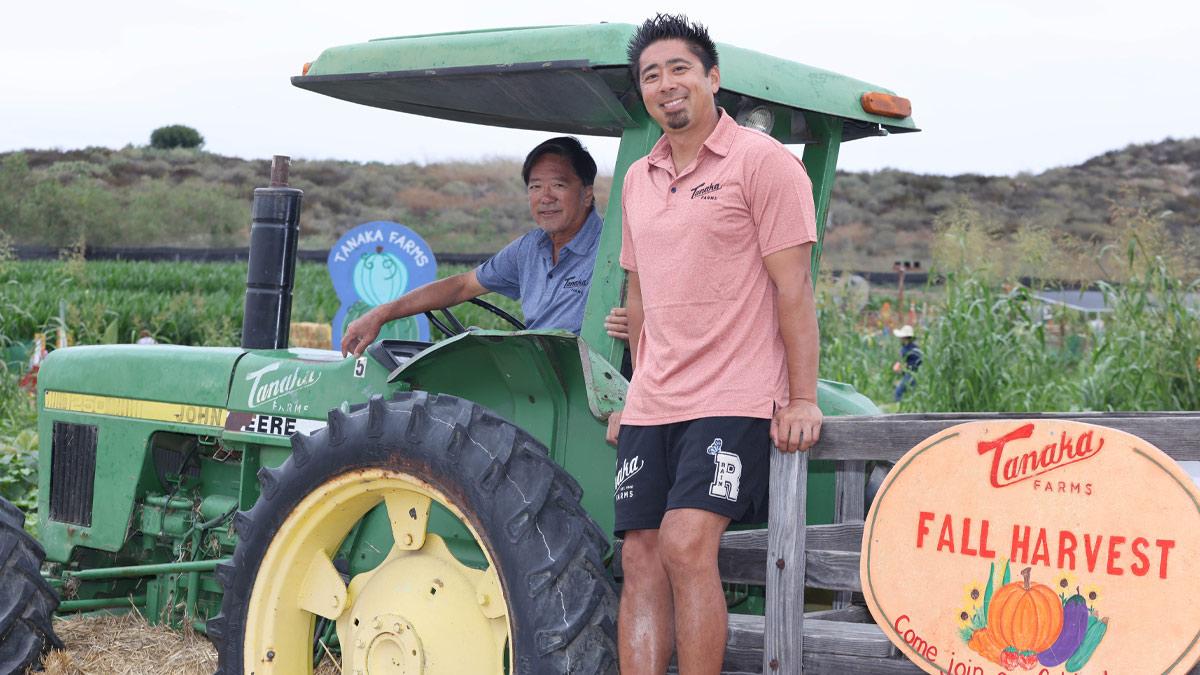 Tankaka Farms fall harvest. Kenny Tankaka shown with a tractor.