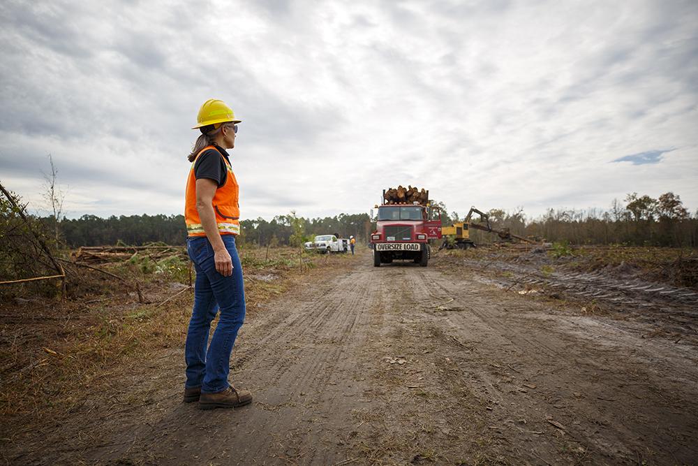 Terri watched as a truck loaded with trees drives towards her