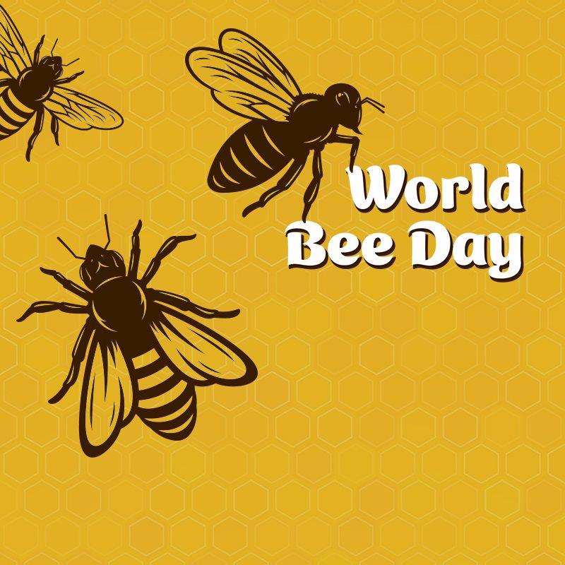 World Bee Day: Picture of three bees.