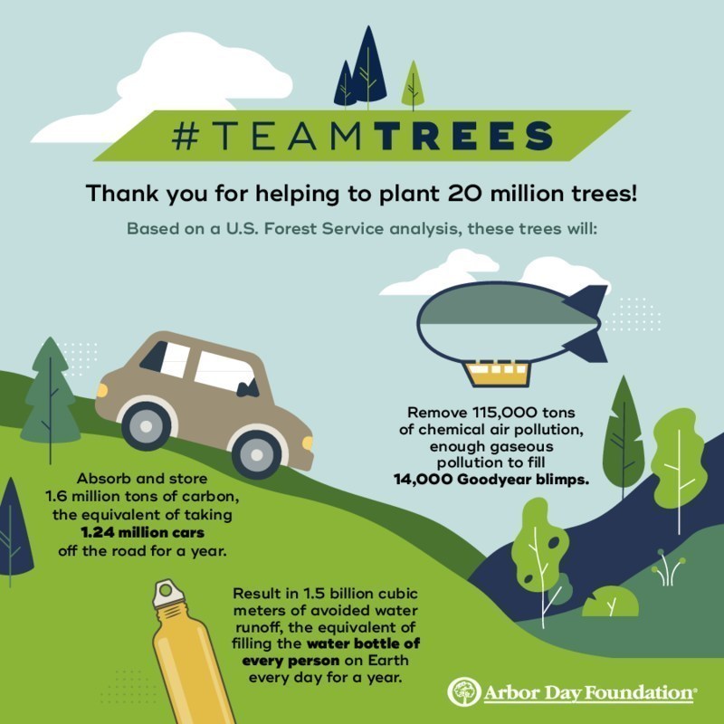 Planting 20. Arbor Day Foundation. Arbor Day Foundation Википедия. Teamtrees MRBEAST. Arbor Day Foundation leaflet.