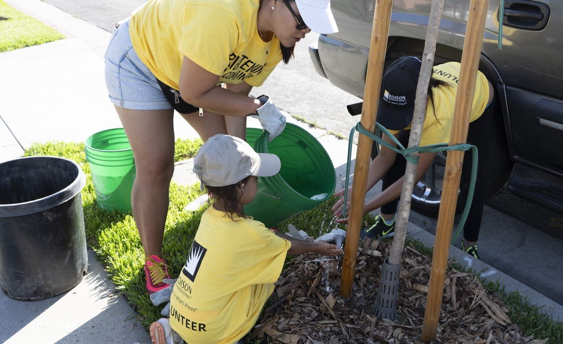 CSRWire A Greener Community for a Cooler Lynwood