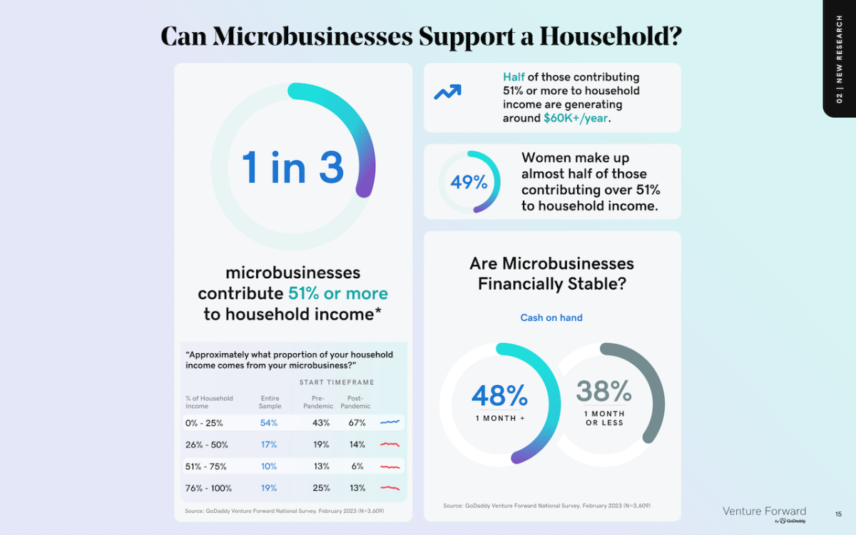 Can a microbusiness support a household.