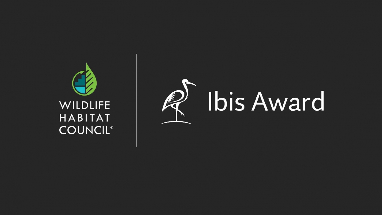 Ibis Award Logo