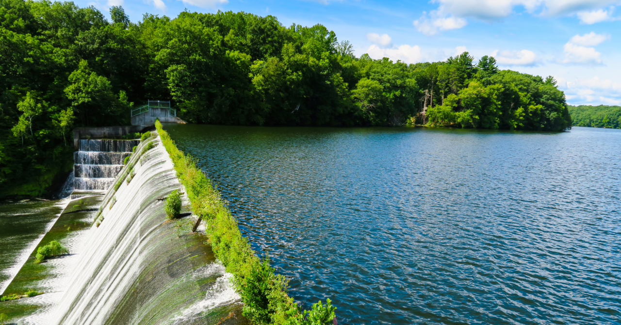 body of water surrounded by trees