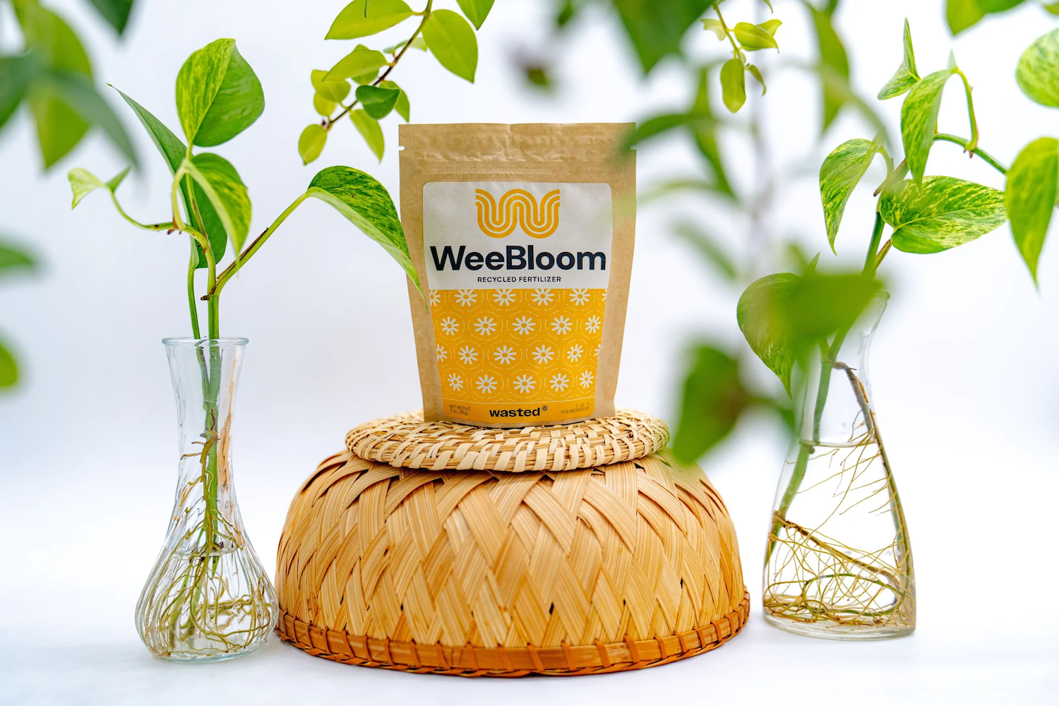 A package of WeeBloom fertilizer surrounded by plant cuttings.
