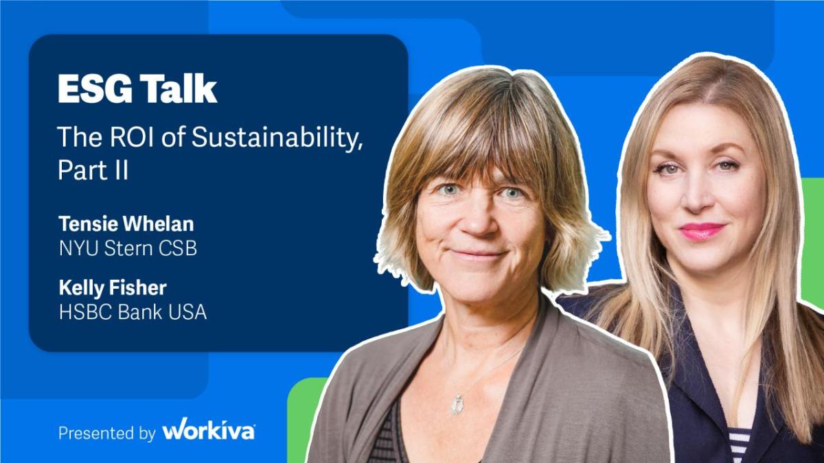 ESG Talk The ROI of Sustainability, Part Il Tensie Whelan NYU Stern CSB Kelly Fisher HSBC Bank USA