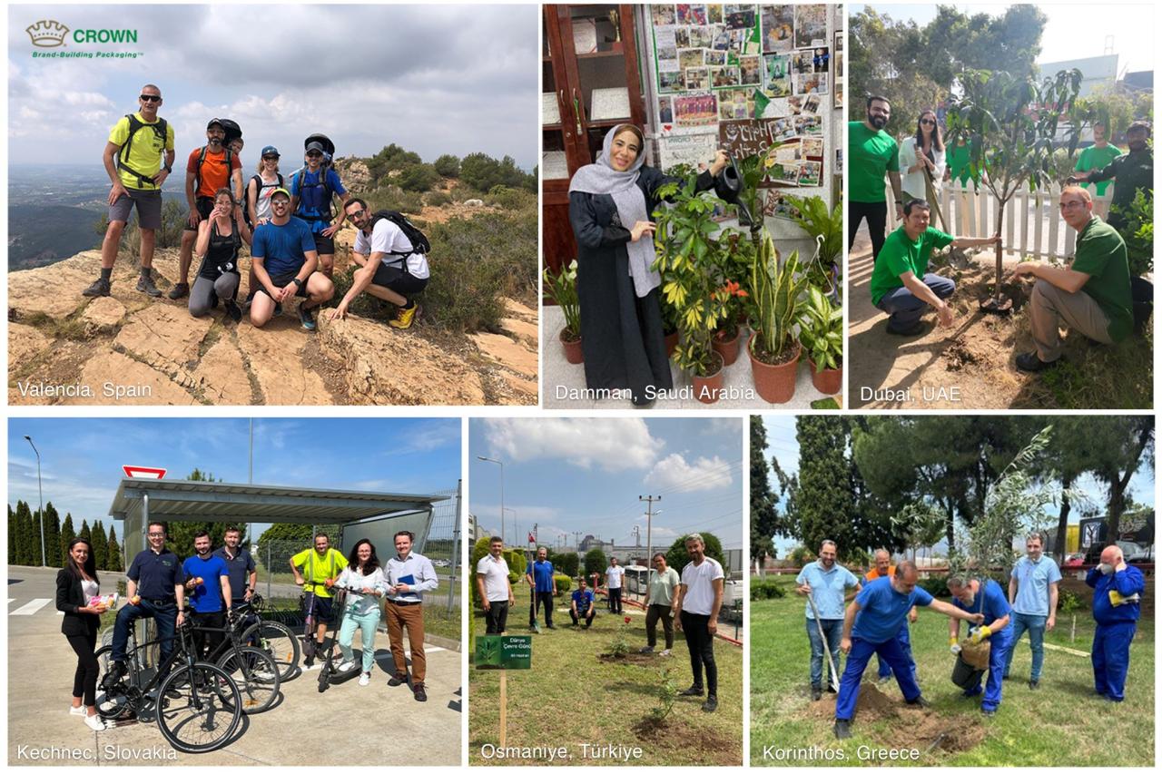 Collage of photos of employees participating in environmental activities 