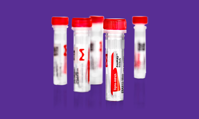 ZooMAb antibodies containers