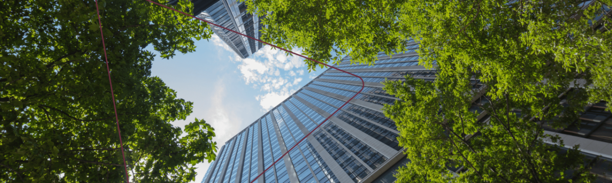upward view of a tall building and trees