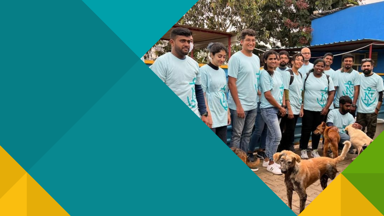 Group of volunteers with dogs