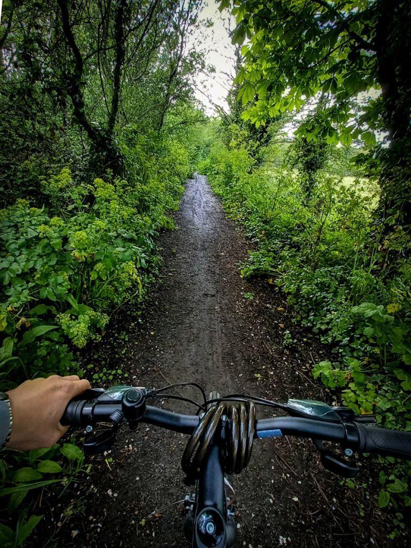 Handlebars of a bicycle and forested bike path