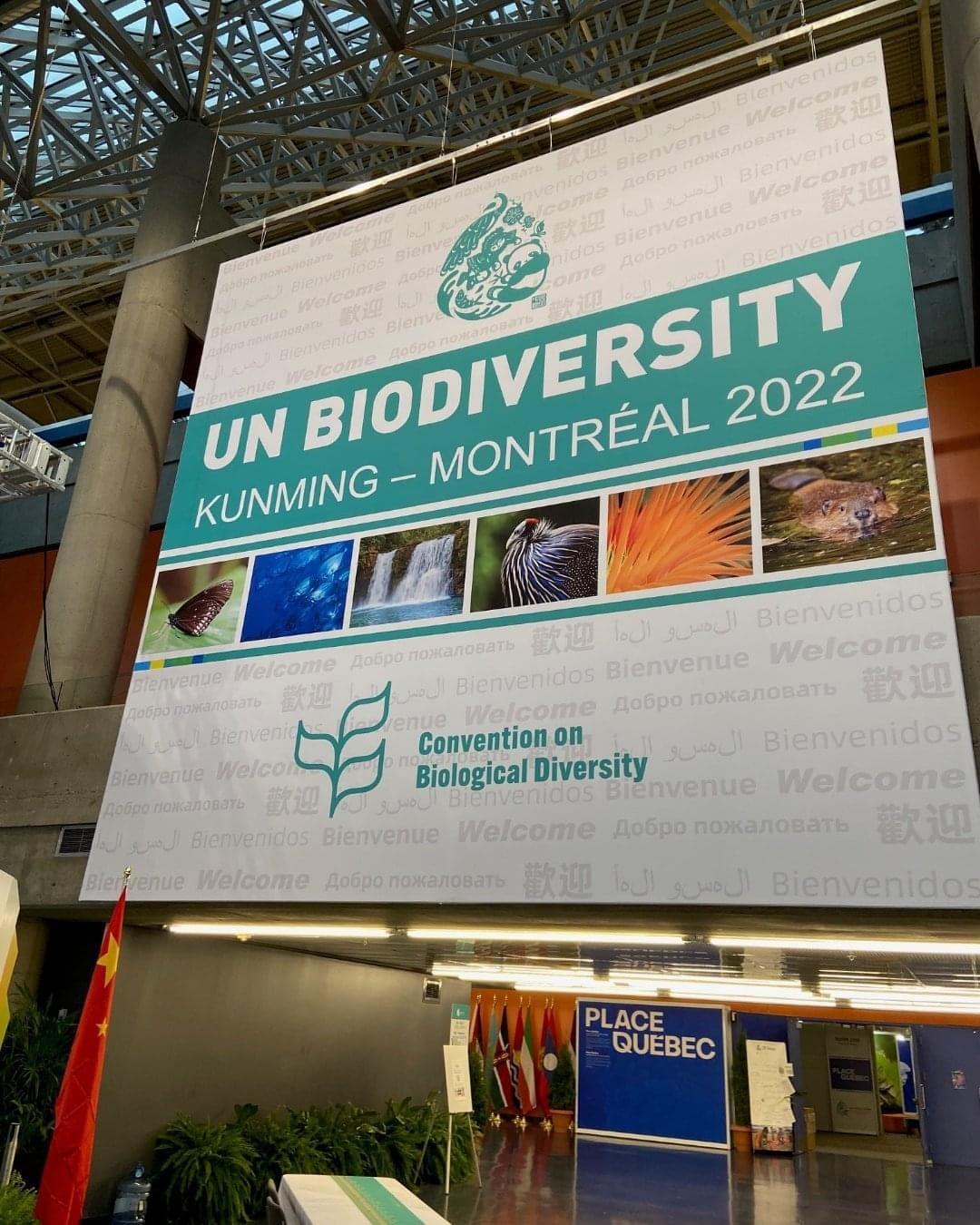 Sign that reads: "UN Biodiversity"
