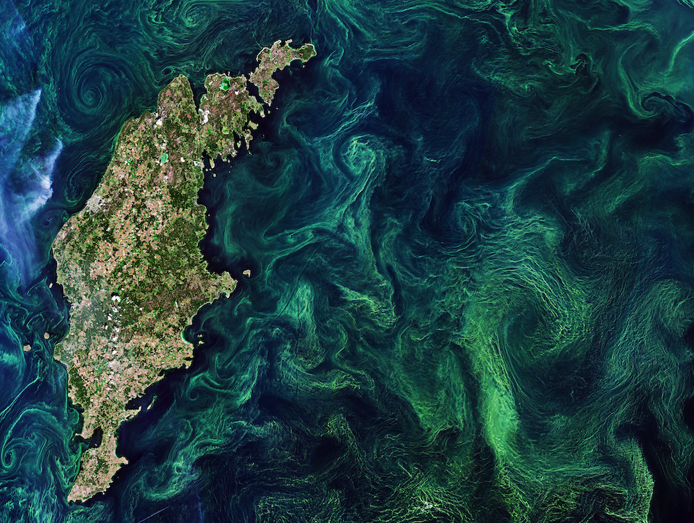blue-green algae bloom in the balkans visible from space - blue-green algae and carbon capture and storage