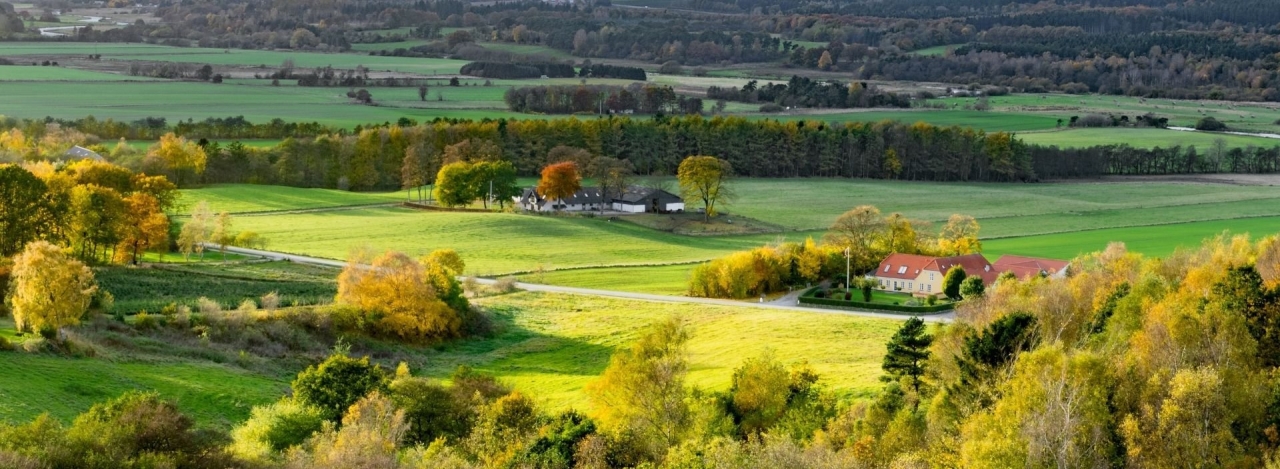 panoramic landscape with fields, houses, hedges, trees 