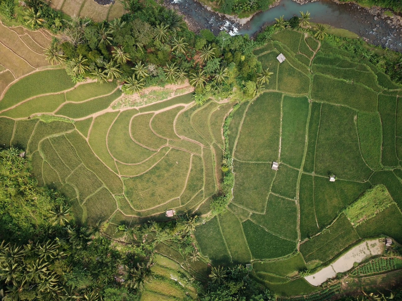 Aerial view of fields.