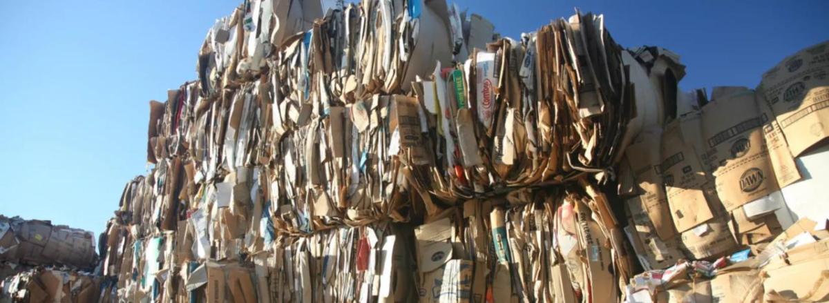 Large stacks of bundled cardboard outside